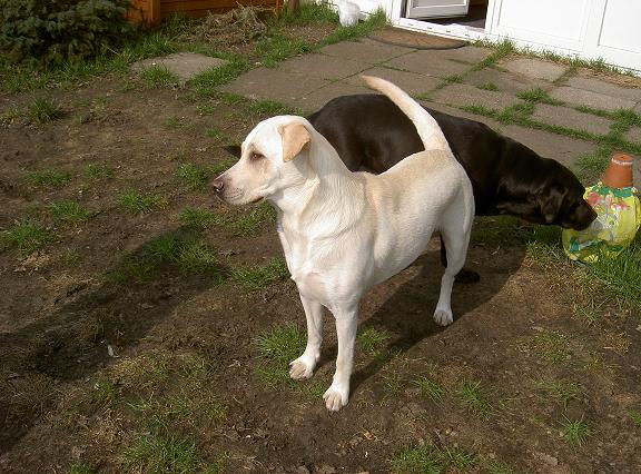 Bild