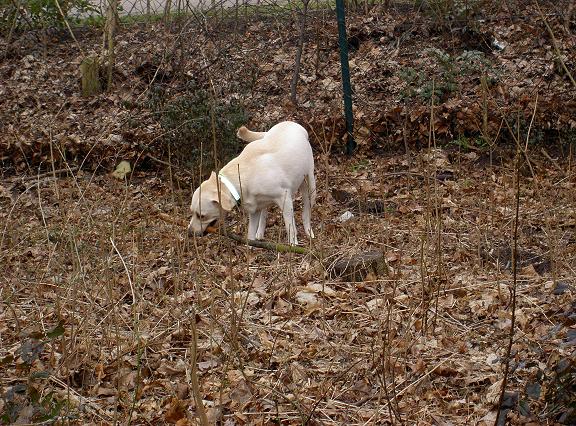 Bild