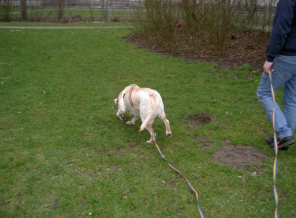 Bild