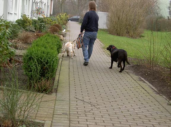 Bild